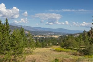 2 homes on acreage 4860 Rockface Road Domeij and Associates